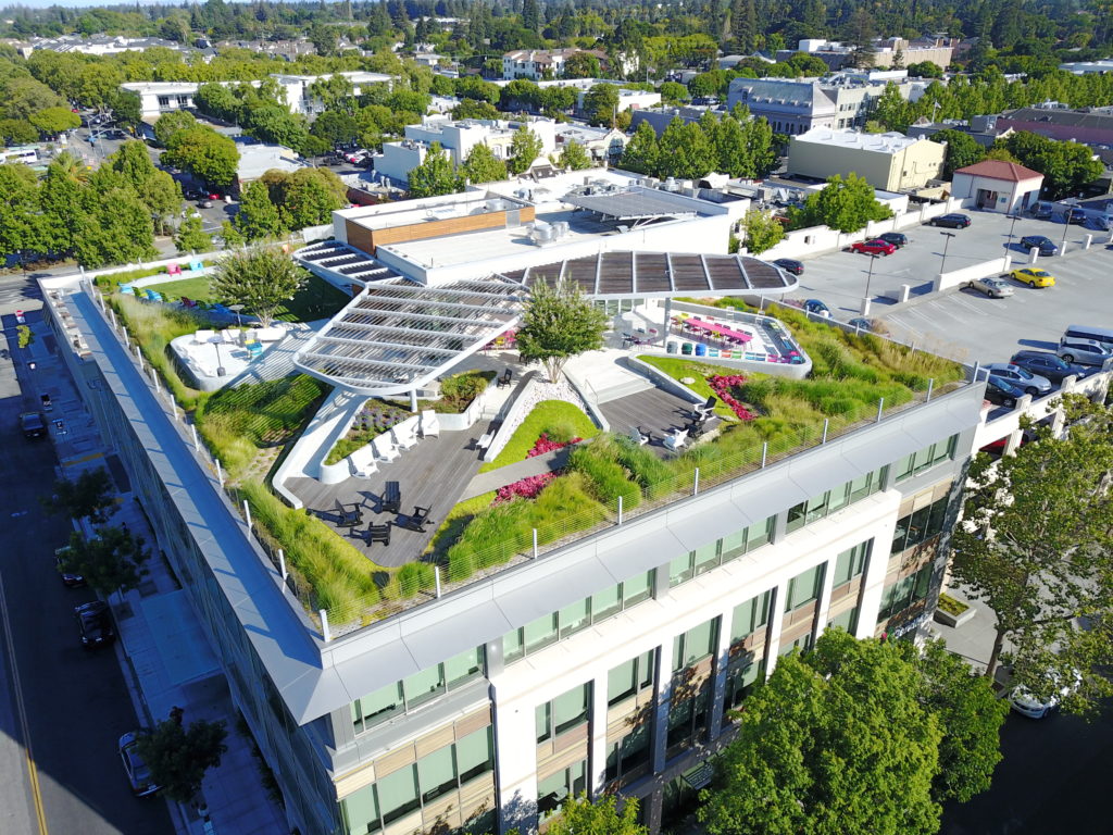 Alternative PDM Tech Deck, Mountain View, CA