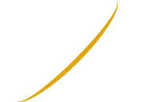 Kenesto's Sponsorship Programs